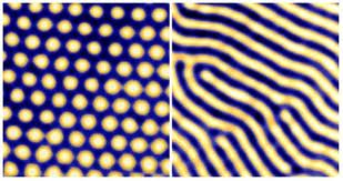 Motifs de Turing Motifs de Turing